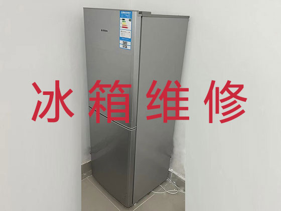 上海电冰箱维修服务